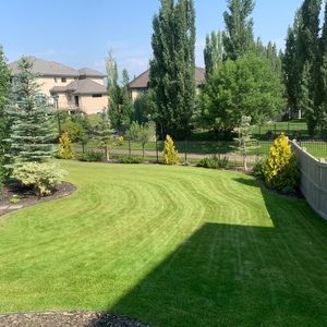 Meet your Posher, Norbert